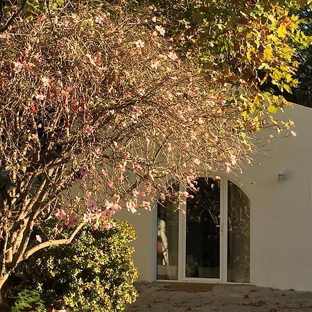הוילה São João do Estoril Casa Do Hibisco מראה חיצוני תמונה