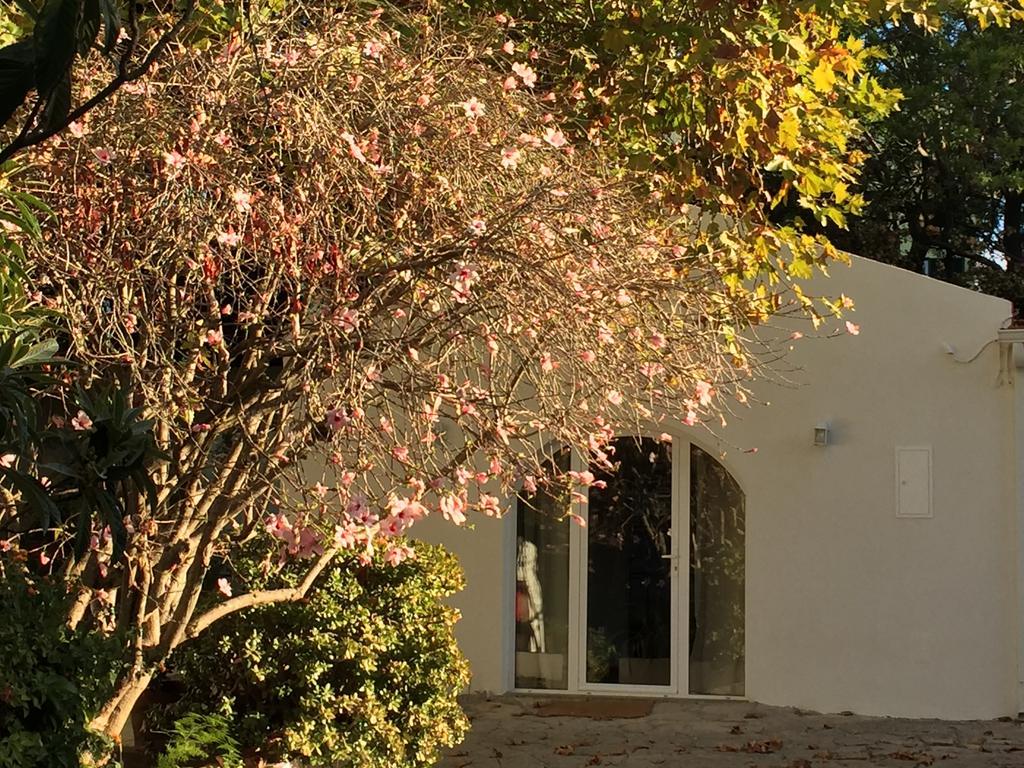 הוילה São João do Estoril Casa Do Hibisco מראה חיצוני תמונה