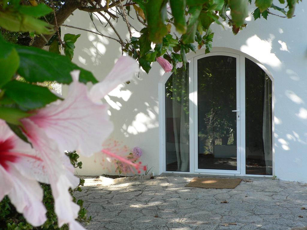 הוילה São João do Estoril Casa Do Hibisco מראה חיצוני תמונה