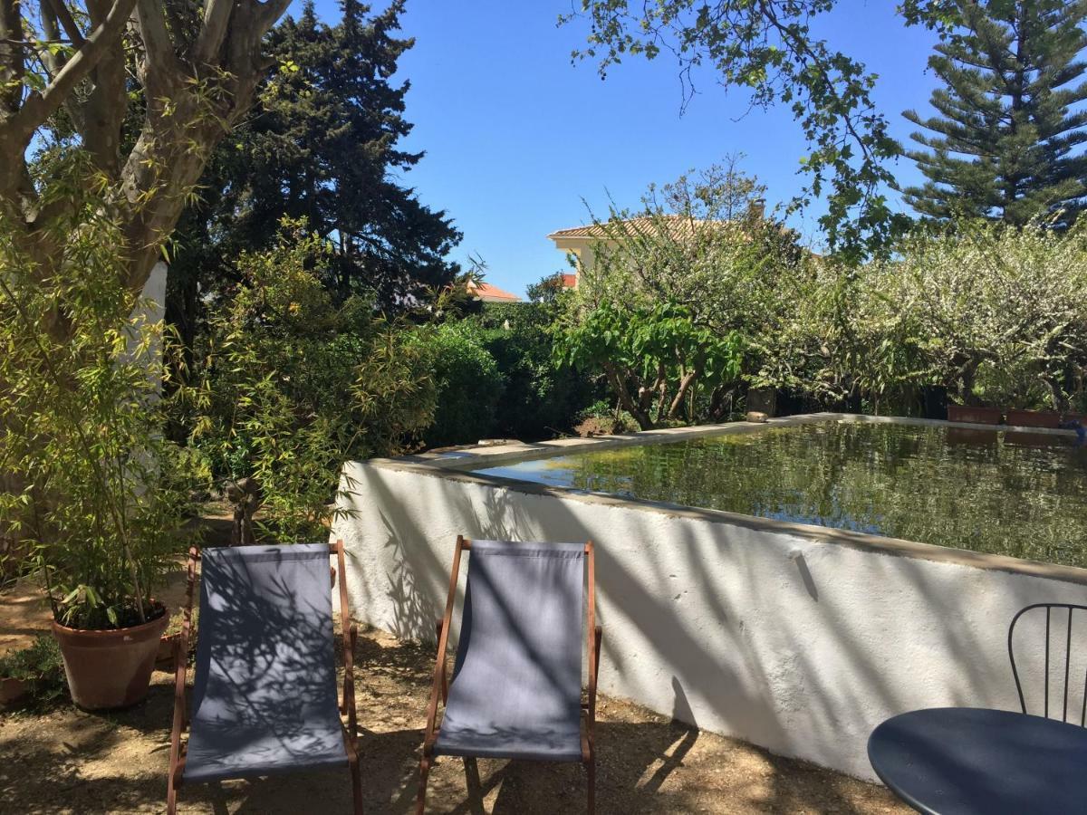 הוילה São João do Estoril Casa Do Hibisco מראה חיצוני תמונה