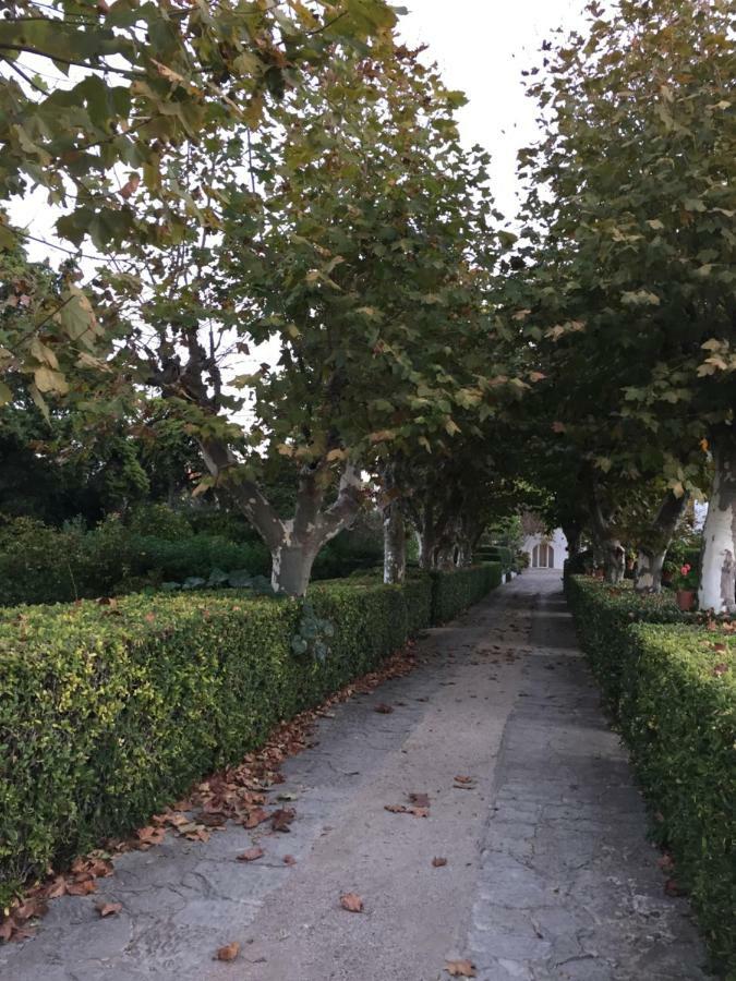 הוילה São João do Estoril Casa Do Hibisco מראה חיצוני תמונה